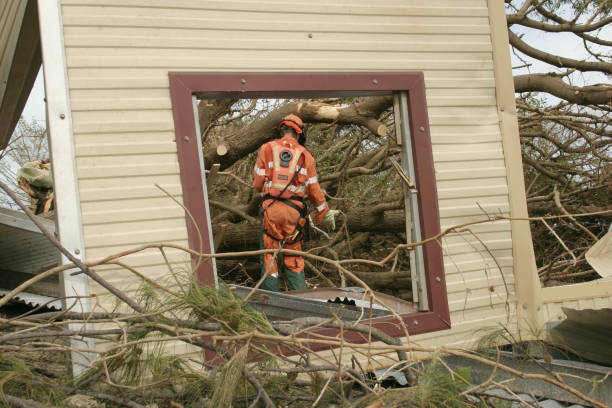 Best Utility Line Clearance  in Gallup, NM